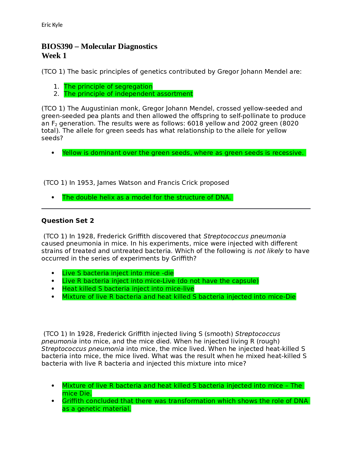 document-preview